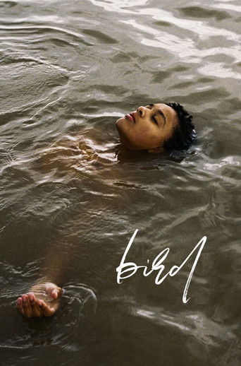 Bird poster