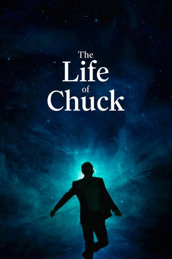 The Life of Chuck poster
